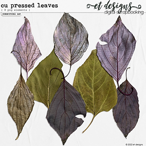 CU Pressed Leaves by et designs