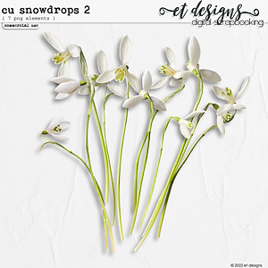 CU Snowdrops 2 by et designs