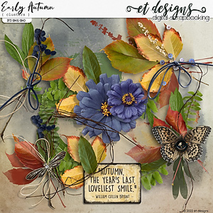 Early Autumn Clusters by et designs