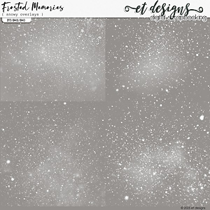Frosted Memories Snowy Overlays by et designs