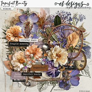 Imperfect Beauty Kit by et designs