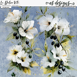 La Dolce Vita Watercolor Overlays by et designs