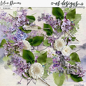 Lilac Dreams Clusters by et designs