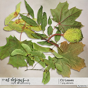 CU Leaves