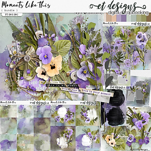 Moments like this Bundle by et designs