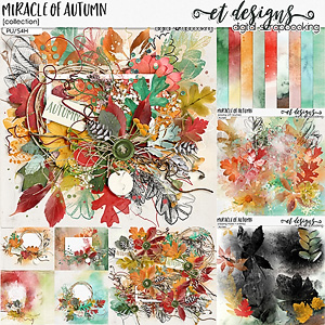 Miracle of Autumn Collection