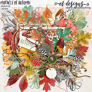 Miracle of Autumn 