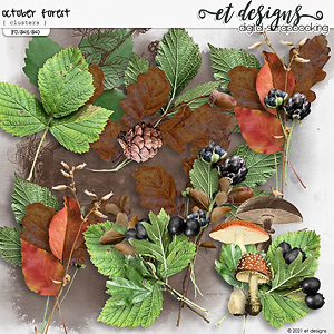 October Forest Clusters by et designs