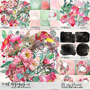 Oh my Peonies Collection