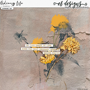 Ordinary Life April 2024 Gift  by et designs
