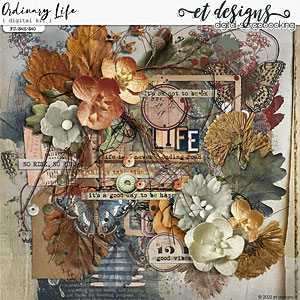 Ordinary Life Kit by et designs
