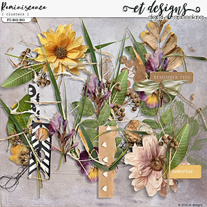 Reminiscence Clusters by et designs