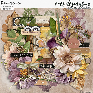 Reminiscence Elements by et designs