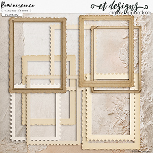 Reminiscence Vintage Frames by et designs