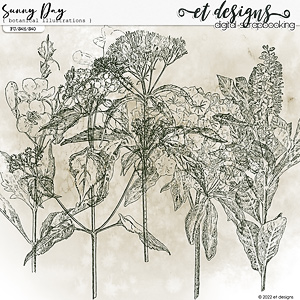 Sunny Day Botanical Illustrations by et designs