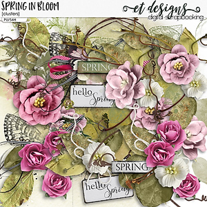 Spring in Bloom Clusters