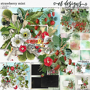 Strawberry Mint Bundle by et designs