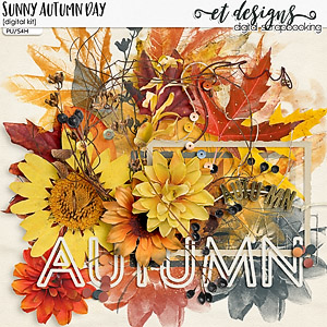 Sunny Autumn Day 