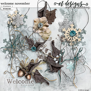 Welcome November Clusters