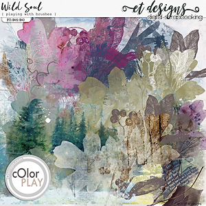 Wild Soul Playing with Brushes by et designs