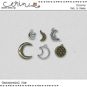 Charms Vol 1 Moon (CU) by Mixed Media by Erin