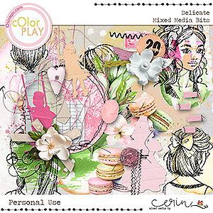 Delicate {Mixed Media Bits} Mixed Media by Erin