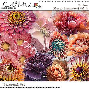 Fusion {Flower Transfers Vol 2} by Mixed Media by Erin
