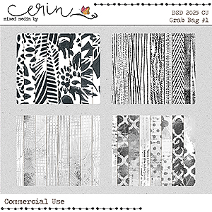 DSD 2025 Grab Bag #1 (CU) by Mixed Media by Erin