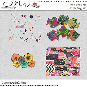 DSD 2025 Grab Bag #2 (CU) by Mixed Media by Erin