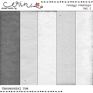 Grungy Overlays Vol 1 (CU) by Mixed Media by Erin