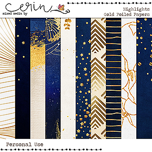 Highlights {Foiled Paper} by Mixed Media by Erin