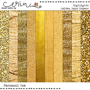 Highlights {Golden Hour} by Mixed Media by Erin