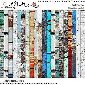 Lakeside: Rustic Wood by Mixed Media by Erin