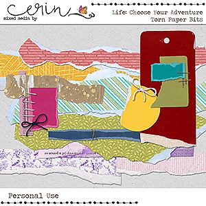 Life: Choose Your Adventure {Torn Paper Bits} by Mixed Media by Erin