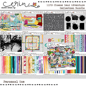 Life: Choose Your Adventure {Collection Bundle} by Mixed Media by Erin