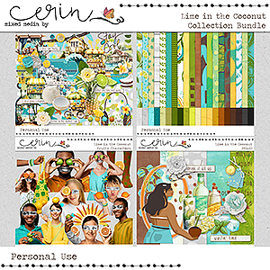 Lime in the Coconut {Collection Bundle} by Mixed Media by Erin 