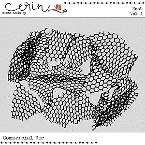 Mesh Vol 1 (CU) by Mixed Media by Erin