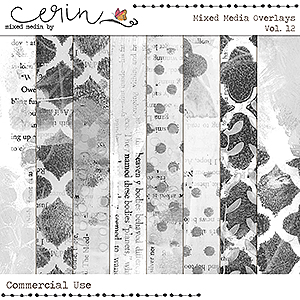 Mixed Media Overlays Vol 12 (CU) by Mixed Media by Erin
