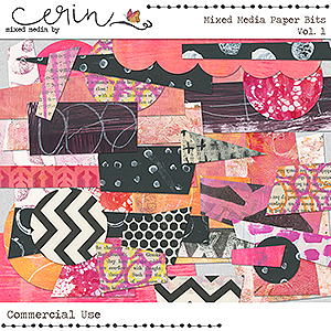 Mixed Media Paper Bits Vol 1 by Mixed Media by Erin