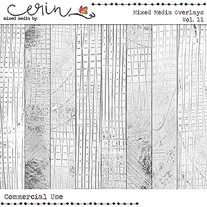Mixed Media Overlays Vol 11 (CU) by Mixed Media by Erin