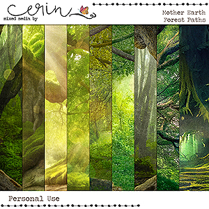 Mother Earth {Forest Paths} by Mixed Media by Erin