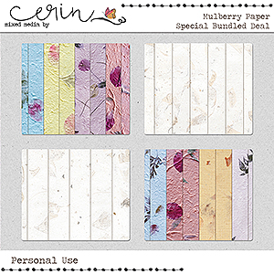 CU Mulberry Paper Bundled Deal (CU) by Mixed Media by Erin 