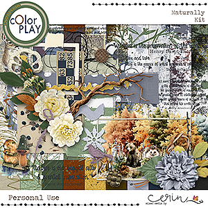 Naturally: Page Kit by Mixed Media by Erin