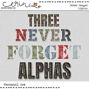 Never Forget {Alphas} by Mixed Media by Erin