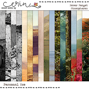 Never Forget {Atmospheres} by Mixed Media by Erin