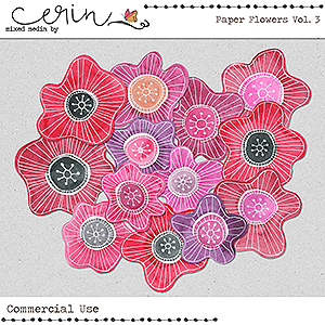 Paper Flowers Vol 3 (CU) by Mixed Media by Erin