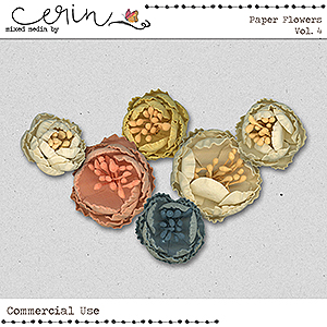Paper Flowers Vol 4 (CU) by Mixed Media by Erin