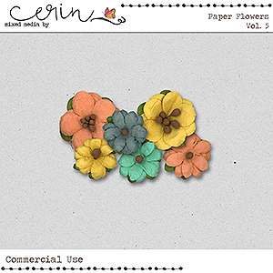 Paper Flowers Vol 5 (CU) by Mixed Media by Erin