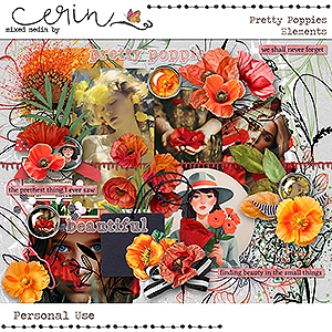 Pretty Poppies {Elements} by Mixed Media by Erin
