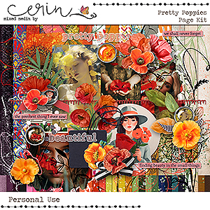 Pretty Poppies {Page Kit} by Mixed Media by Erin